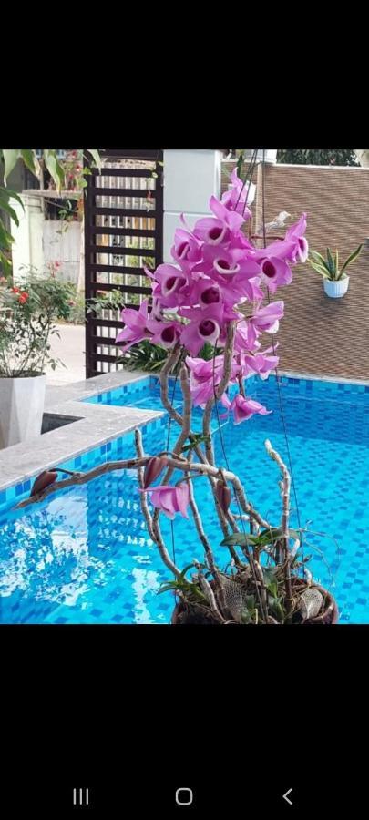 Riverlife Homestay Hoi An Exteriör bild